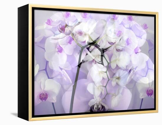 A Floral Montage-Alaya Gadeh-Framed Premier Image Canvas