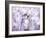 A Floral Montage-Alaya Gadeh-Framed Photographic Print