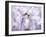 A Floral Montage-Alaya Gadeh-Framed Photographic Print