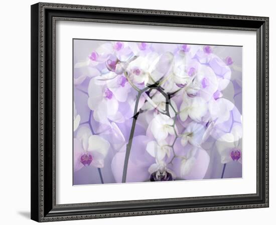 A Floral Montage-Alaya Gadeh-Framed Photographic Print