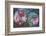 A Floral Montage-Alaya Gadeh-Framed Photographic Print