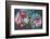 A Floral Montage-Alaya Gadeh-Framed Photographic Print