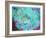 A Floral Montage-Alaya Gadeh-Framed Photographic Print