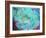 A Floral Montage-Alaya Gadeh-Framed Photographic Print