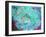 A Floral Montage-Alaya Gadeh-Framed Photographic Print