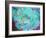 A Floral Montage-Alaya Gadeh-Framed Photographic Print