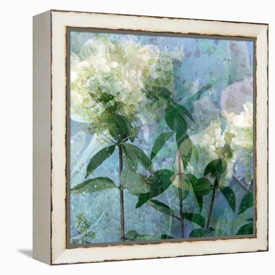 A Floral Montage-Alaya Gadeh-Framed Premier Image Canvas