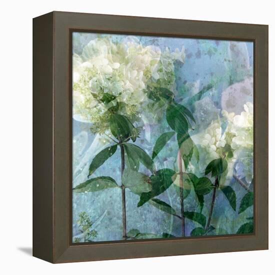 A Floral Montage-Alaya Gadeh-Framed Premier Image Canvas