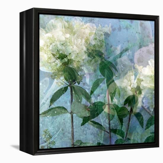 A Floral Montage-Alaya Gadeh-Framed Premier Image Canvas