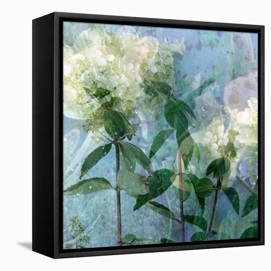 A Floral Montage-Alaya Gadeh-Framed Premier Image Canvas