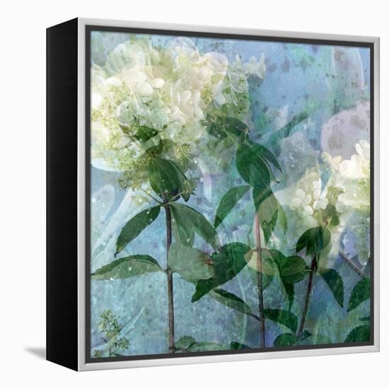 A Floral Montage-Alaya Gadeh-Framed Premier Image Canvas