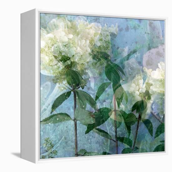 A Floral Montage-Alaya Gadeh-Framed Premier Image Canvas