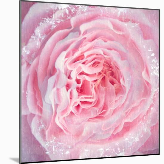 A Floral Montage-Alaya Gadeh-Mounted Photographic Print