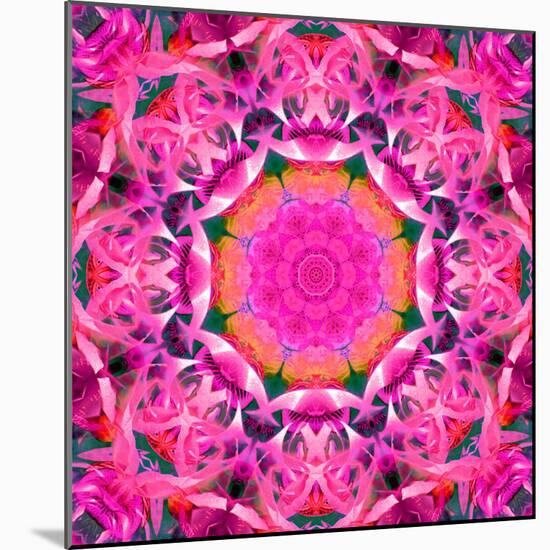 A Floral Montage-Alaya Gadeh-Mounted Photographic Print