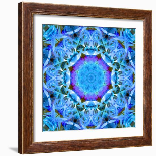 A Floral Montage-Alaya Gadeh-Framed Photographic Print