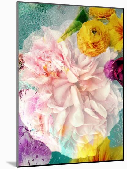 A Floral Montage-Alaya Gadeh-Mounted Photographic Print