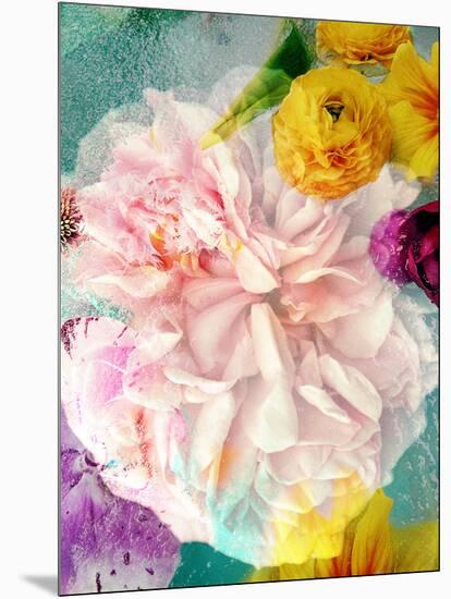 A Floral Montage-Alaya Gadeh-Mounted Photographic Print