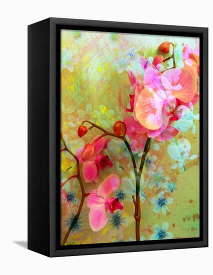 A Floral Montage-Alaya Gadeh-Framed Premier Image Canvas