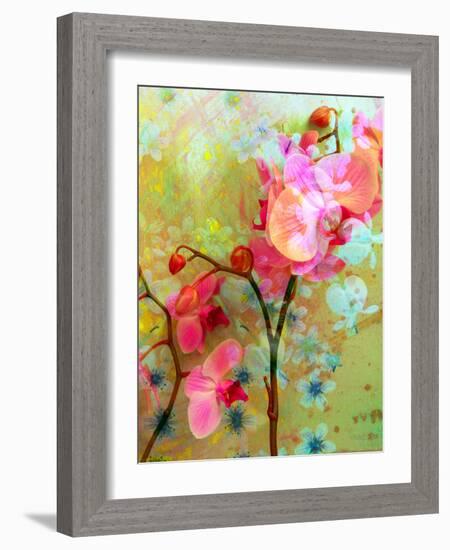 A Floral Montage-Alaya Gadeh-Framed Photographic Print