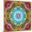A Flower Mandala, Photographic Layer Work from a Painting-Alaya Gadeh-Mounted Photographic Print