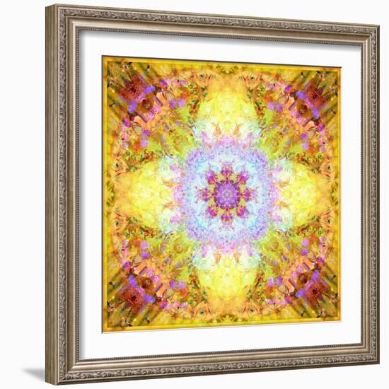 A Flower Mandala, Photographic Layer Work from Flowers-Alaya Gadeh-Framed Photographic Print