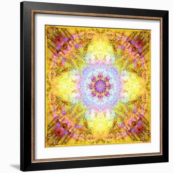 A Flower Mandala, Photographic Layer Work from Flowers-Alaya Gadeh-Framed Photographic Print