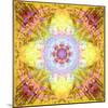 A Flower Mandala, Photographic Layer Work from Flowers-Alaya Gadeh-Mounted Photographic Print