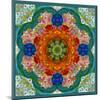 A Flower Mandala-Alaya Gadeh-Mounted Photographic Print