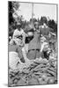 A Food Market in Darjeeling, West Bengal, India, C1910-null-Mounted Giclee Print