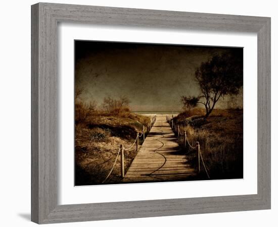 A Footpath That Goes to the Beach-Luis Beltran-Framed Photographic Print