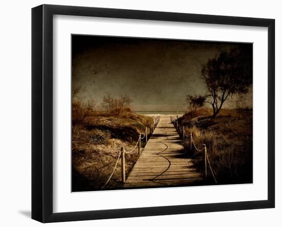A Footpath That Goes to the Beach-Luis Beltran-Framed Photographic Print