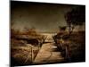 A Footpath That Goes to the Beach-Luis Beltran-Mounted Photographic Print