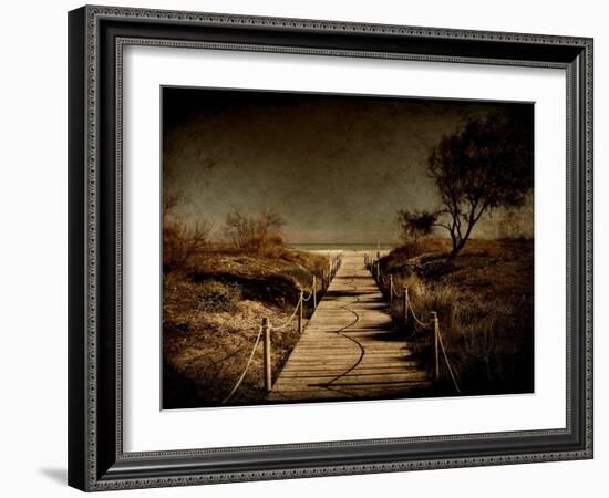 A Footpath That Goes to the Beach-Luis Beltran-Framed Photographic Print