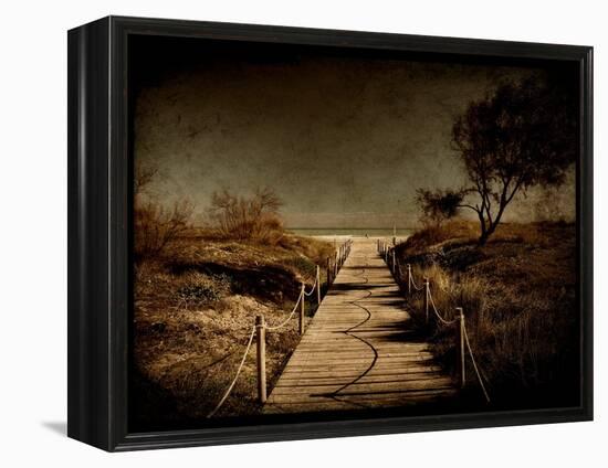 A Footpath That Goes to the Beach-Luis Beltran-Framed Premier Image Canvas