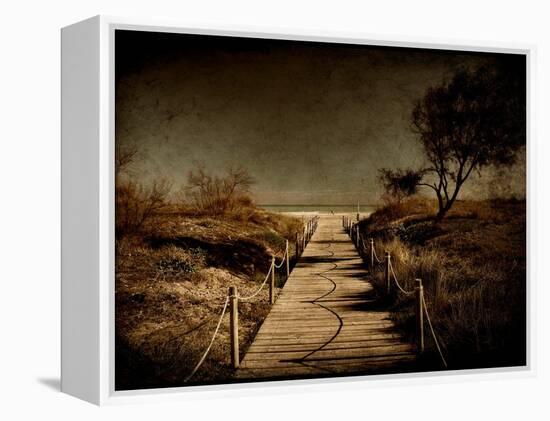 A Footpath That Goes to the Beach-Luis Beltran-Framed Premier Image Canvas