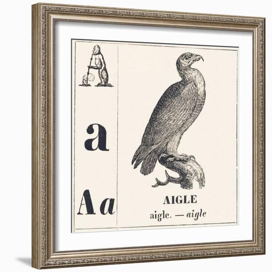 A for Eagle, 1850 (Engraving)-Louis Simon (1810-1870) Lassalle-Framed Giclee Print