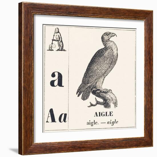 A for Eagle, 1850 (Engraving)-Louis Simon (1810-1870) Lassalle-Framed Giclee Print