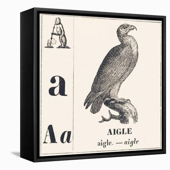 A for Eagle, 1850 (Engraving)-Louis Simon (1810-1870) Lassalle-Framed Premier Image Canvas