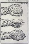 Detailed Views of a Roman Cestus a Leather Glove Used in Ancient Boxing-A. Forbes-Framed Photographic Print