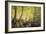 A Forest Glade-Johannes Boesen-Framed Giclee Print