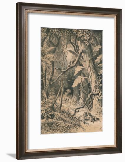 A Forest in Central Africa, c1880-null-Framed Giclee Print