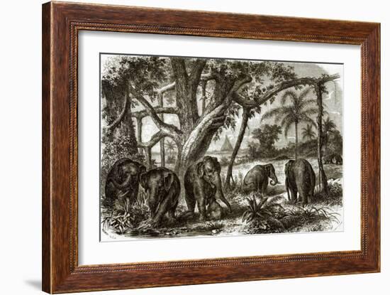 A Forest in Ceylon-English-Framed Giclee Print