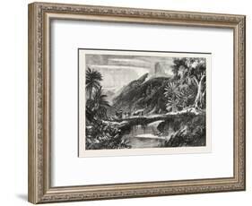 A Forest Scene in Madagascar, 1865-null-Framed Giclee Print