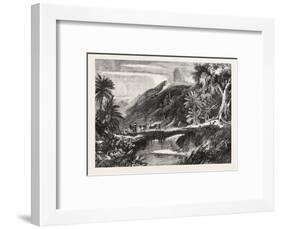 A Forest Scene in Madagascar, 1865-null-Framed Giclee Print
