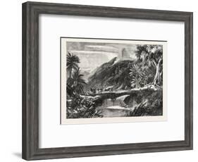 A Forest Scene in Madagascar, 1865-null-Framed Giclee Print