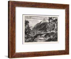 A Forest Scene in Madagascar, 1865-null-Framed Giclee Print