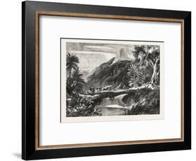 A Forest Scene in Madagascar, 1865-null-Framed Giclee Print