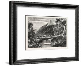 A Forest Scene in Madagascar, 1865-null-Framed Giclee Print