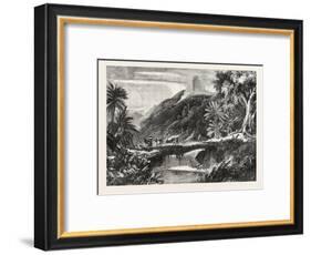 A Forest Scene in Madagascar, 1865-null-Framed Giclee Print