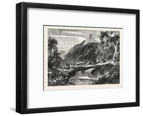 A Forest Scene in Madagascar, 1865-null-Framed Giclee Print